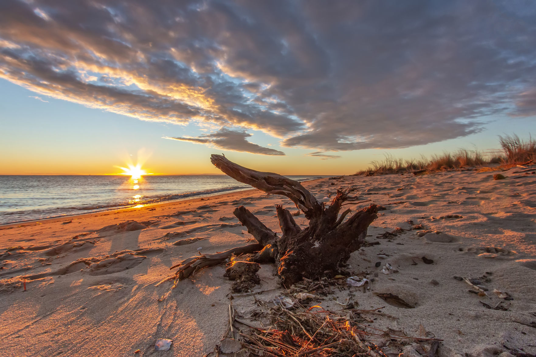 Coastal & Chesapeake Bay: Sunrise at Bethel Beach Photographer: Barbara Houston of Quinton Location: Bethel Beach in Mathews County
